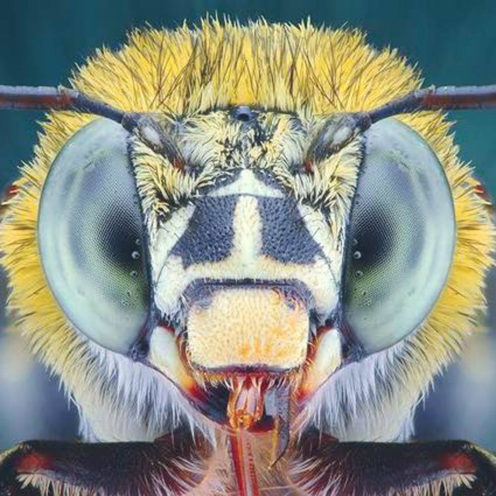 Meet your Posher, Kiva